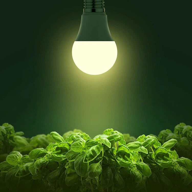 a19 grow bulb a19 grow bulb