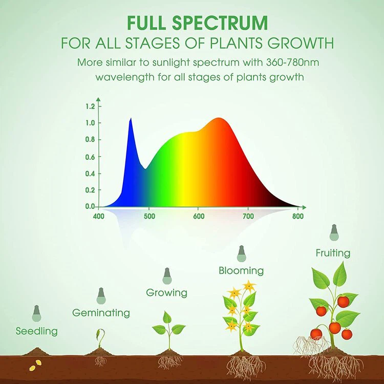 full spectrum light bulbs detail full spectrum light bulbs detail
