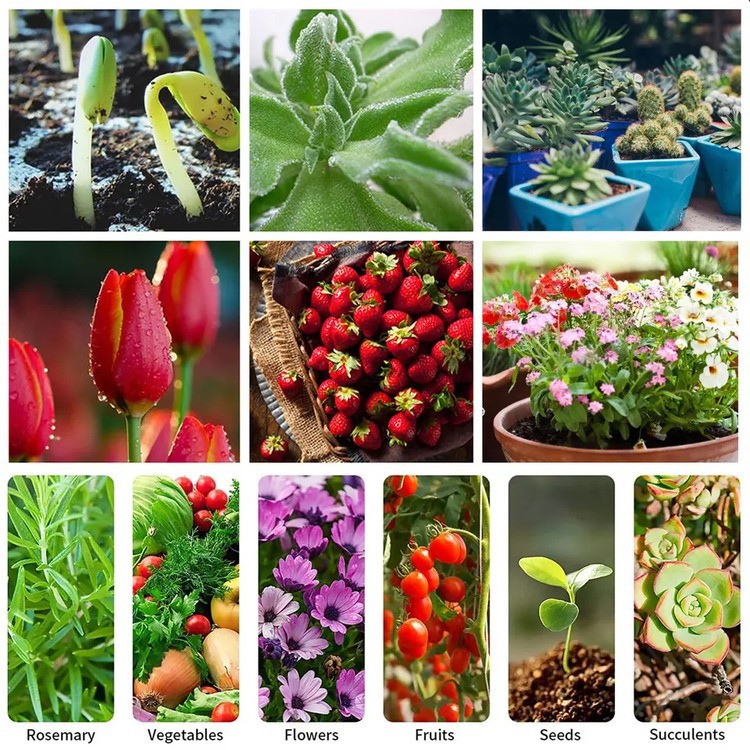 full spectrum new horticulture bulb application full spectrum new horticulture bulb application