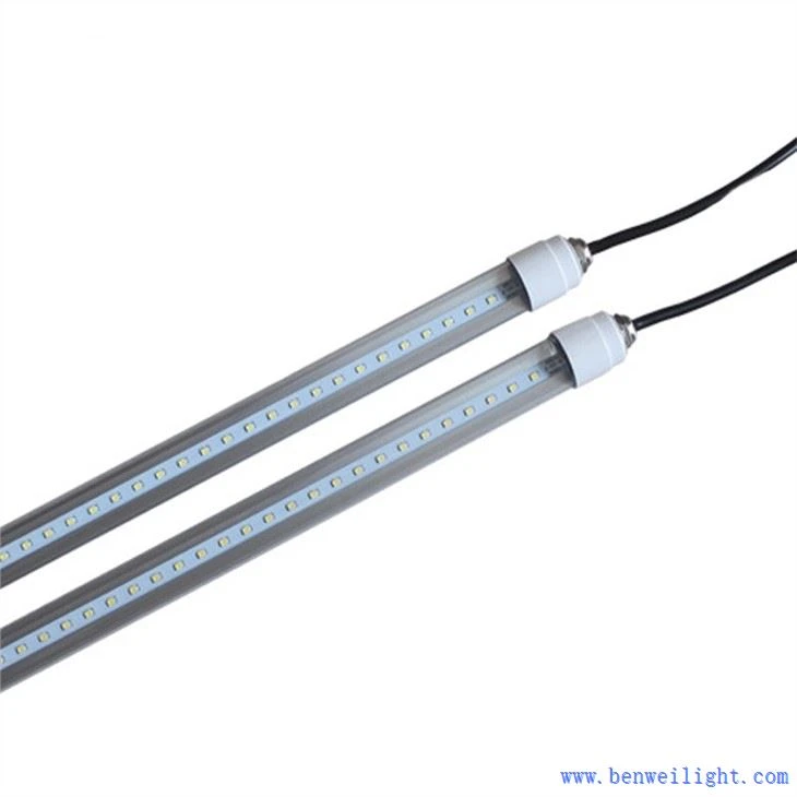 light for poultry