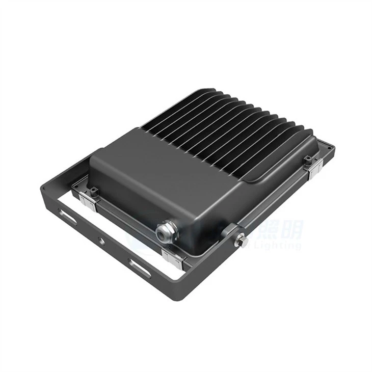 Flood Light With Electrical Outlet