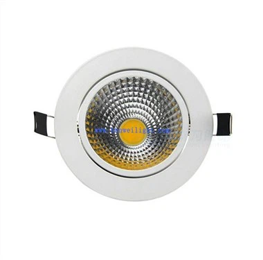 Eyeball Downlight