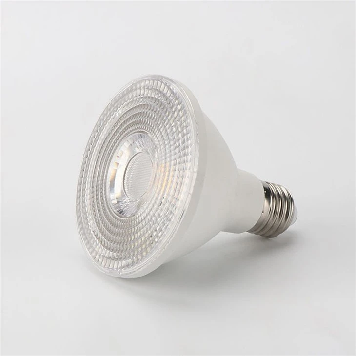 par 38 led bulbs
