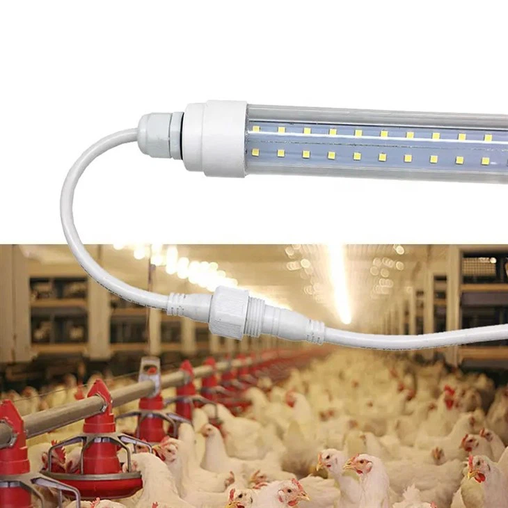 Dimmer fjäderfä LED-ljus för kycklingfarm