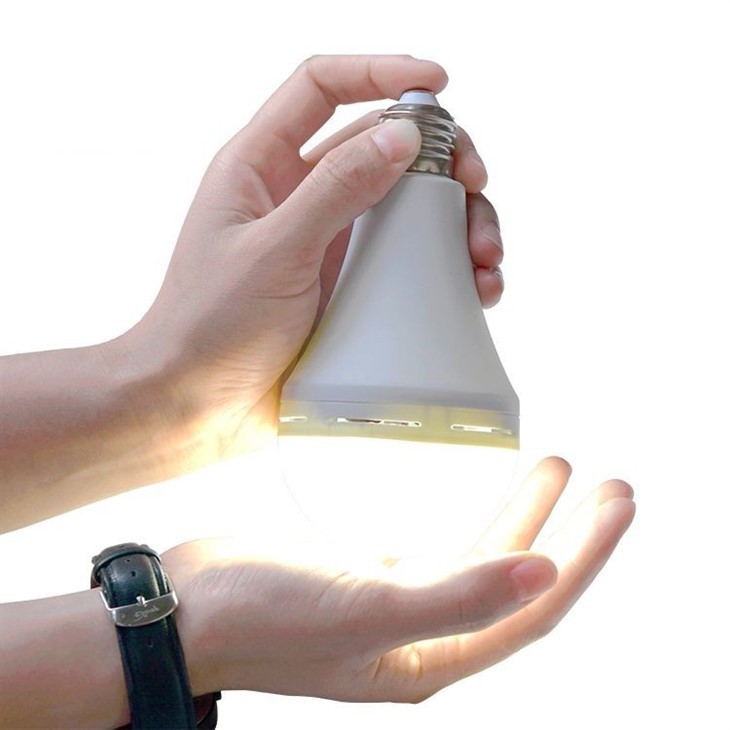 Emergency Inverter Bulb