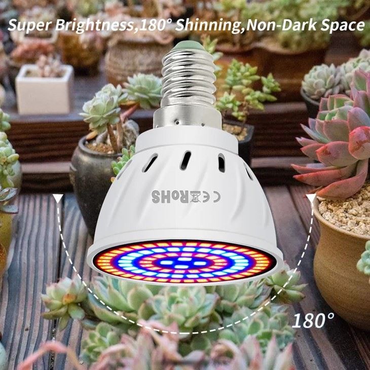 Plant growth lamp 4