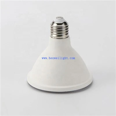 Dimbar LED PAR30 Ljus