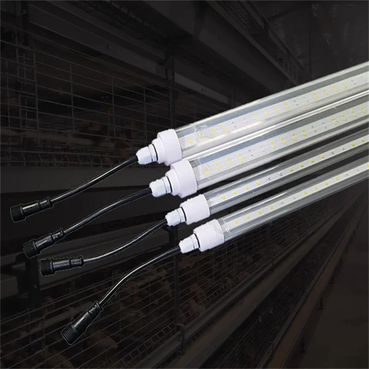 Chicken Shed Light (3)
