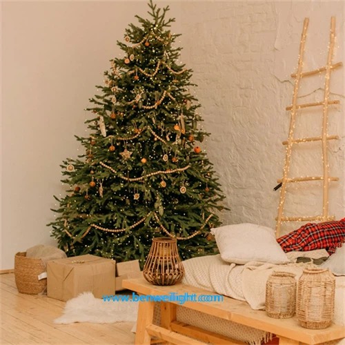 info-500-500 info-500-500