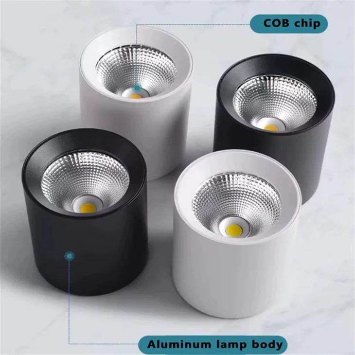 surface mounted downlight white