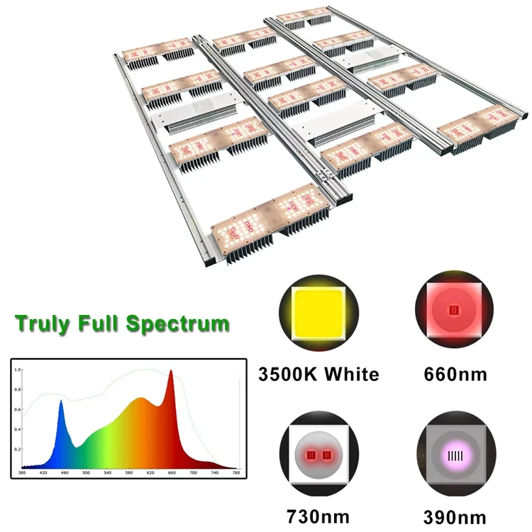 product-750-750 product-750-750