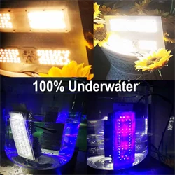 product-250-250 product-250-250