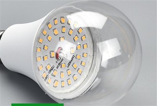 Dragon Fruit Grow Light E27 10W 15W 18W CE RoHS