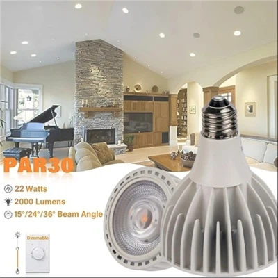 Spotlight LED-lampa 30 watt COB (200 watt ekv.)